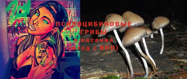 амф Зеленодольск
