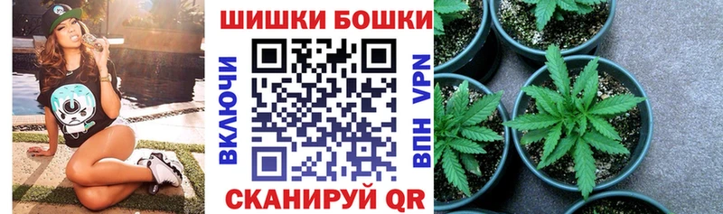 Купить где  Таруса  Конопля ГИДРОПОН 